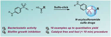 Graphical abstract: N-Acylsulfonamide: a valuable moiety to design new sulfa drug analogues