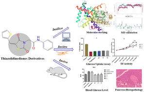 Graphical abstract: Development of novel thiazolidine-2,4-dione derivatives as PPAR-γ agonists through design, synthesis, computational docking, MD simulation, and comprehensive in vitro and in vivo evaluation