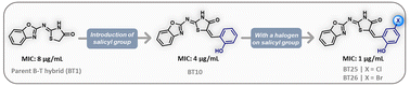 Graphical abstract: Discovery of benzoxazole–thiazolidinone hybrids as promising antibacterial agents against Staphylococcus aureus and Enterococcus species