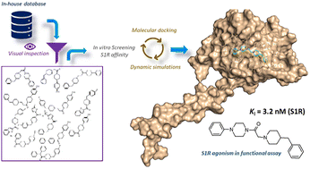 Graphical abstract: Discovery and computational studies of piperidine/piperazine-based compounds endowed with sigma receptor affinity