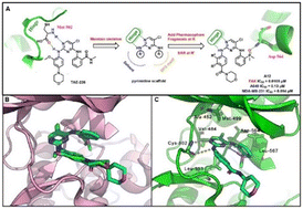 Graphical abstract: Design, synthesis, and biological evaluation of diaminopyrimidine derivatives as novel focal adhesion kinase inhibitors