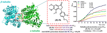 Graphical abstract: Discovery of novel tubulin CBSI (R)-9k from the indanone scaffold for the treatment of colorectal cancer