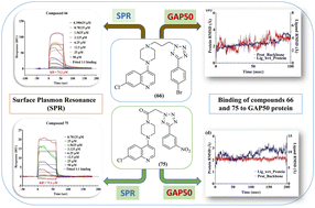 Graphical abstract: Novel quinolinepiperazinyl-aryltetrazoles targeting the blood stage of Plasmodium falciparum