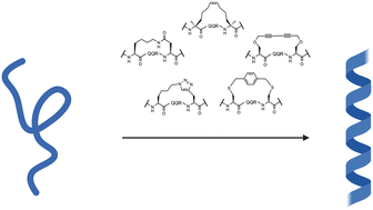 Graphical abstract: A survey of stapling methods to increase affinity, activity, and stability of ghrelin analogues