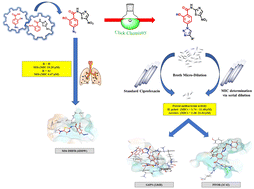 Graphical abstract: New nitazoxanide derivatives: design, synthesis, biological evaluation, and molecular docking studies as antibacterial and antimycobacterial agents