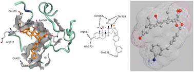 Graphical abstract: Minimising the payload solvent exposed hydrophobic surface area optimises the antibody-drug conjugate properties