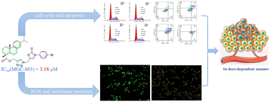 Graphical abstract: Design, synthesis, and antiproliferative evaluation of novel dehydroabietic acid-1,2,3-triazole-oxazolidinone hybrids