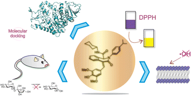 Graphical abstract: Discovery of dual-action phenolic 4-arylidene-isoquinolinones with antioxidant and α-glucosidase inhibition activities