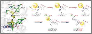Graphical abstract: Design, synthesis and evaluation of 2-phenylpyrimidine derivatives as novel antifungal agents targeting CYP51