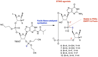 Graphical abstract: PDE-stable 2′3′-cGAMP analogues, containing 5′-S-phosphorothioester linkage, as STING agonists