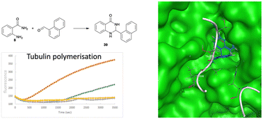 Graphical abstract: 2,3-Dihydroquinazolin-4(1H)-ones and quinazolin-4(3H)-ones as broad-spectrum cytotoxic agents and their impact on tubulin polymerisation