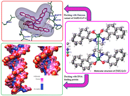 Graphical abstract: Unusual Ni⋯Ni interaction in Ni(ii) complexes as potential inhibitors for the development of new anti-SARS-CoV-2 Omicron drugs