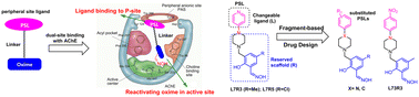 Graphical abstract: Screening of efficient salicylaldoxime reactivators for DFP and paraoxon-inhibited acetylcholinesterase