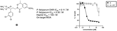 Graphical abstract: Inhibition of DXR in the MEP pathway with lipophilic N-alkoxyaryl FR900098 analogs