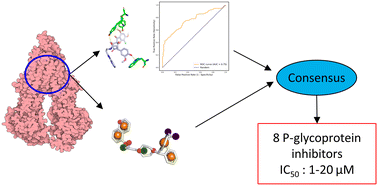 Graphical abstract: Consensus screening for a challenging target: the quest for P-glycoprotein inhibitors