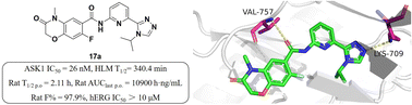 Graphical abstract: Discovery of benzoheterocyclic-substituted amide derivatives as apoptosis signal-regulating kinase 1 (ASK1) inhibitors