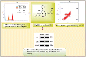 Graphical abstract: Design, synthesis and biological evaluation of novel morpholinopyrimidine-5-carbonitrile derivatives as dual PI3K/mTOR inhibitors