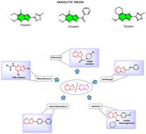 Graphical abstract: Imidazopyrimidine: from a relatively exotic scaffold to an evolving structural motif in drug discovery