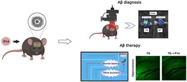 Graphical abstract: A novel BODIPY-based theranostic agent for in vivo fluorescence imaging of cerebral Aβ and ameliorating Aβ-associated disorders in Alzheimer's disease transgenic mice