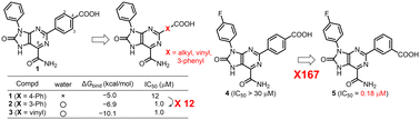 Graphical abstract: Enhanced inhibitory activity of compounds containing purine scaffolds compared to protein kinase CK2α considering crystalline water