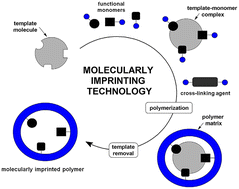Graphical abstract: Theoretical design of molecularly imprinted polypyrrole biosensor for the detection of renal failure biomarkers