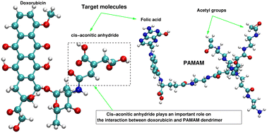 Graphical abstract: Describing the adsorption of doxorubicin on a PAMAM dendrimer by ab initio calculations