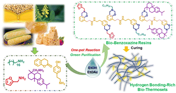 Graphical abstract: Facile and eco-friendly synthesis of hydrogen bonding-rich bio-based bisbenzoxazine resins with low surface free energy, strong adhesion strength and high thermal stability