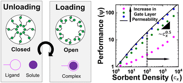 Graphical abstract: Isolating the effects of gate layer permeability and sorbent density on the performance of solute-selective polymeric ion pumps