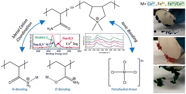 Graphical abstract: Influence of metal-coordinating comonomers on the coordination structure and binding in magnetic poly(ionic liquid)s