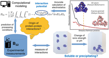 Graphical abstract: Accurate calculation of second osmotic virial coefficients of proteins using mixed Poisson–Boltzmann and extended DLVO theory