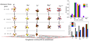 Graphical abstract: Dehydration induced selective ion trapping by topology constrained atomically thin graphene-crown membranes