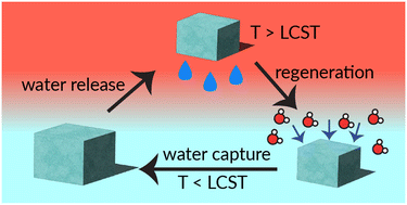 Graphical abstract: Rational design of water-harvesting hydrogels