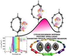 Graphical abstract: Host–guest cooperative bridged bicyclopolyynic (BBP) open-molecular cages with optical-switching properties