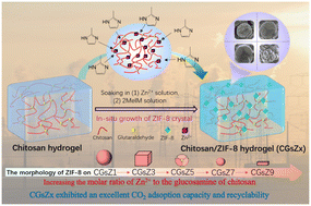 Graphical abstract: Heterogeneous nucleation and growth of MOF crystals on polymer substrate to fabricate chitosan/ZIF-8 hydrogels for efficient capture of CO2