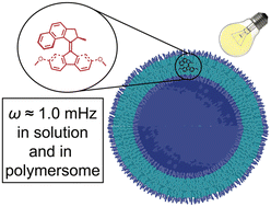 Graphical abstract: Light-activation of molecular motors in polymersomes