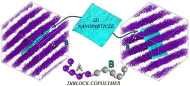 Graphical abstract: Two-state nanocomposite based on symmetric diblock copolymer and planar nanoparticles: mesoscopic simulation