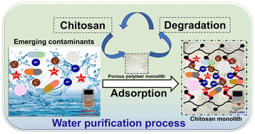 Graphical abstract: Mesoporous degradable chitosan-based monoliths: synthesis and applications toward water purification