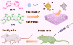 Graphical abstract: An injectable all-small-molecule dynamic metallogel for suppressing sepsis