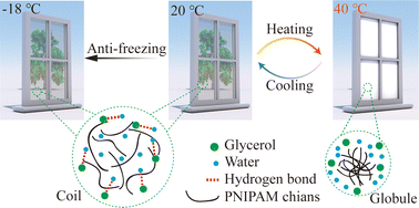 Graphical abstract: Physical crosslinked hydrogel-derived smart windows: anti-freezing and fast thermal responsive performance