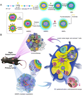 Graphical abstract: Autologous-cancer-cryoablation-mediated nanovaccine augments systematic immunotherapy