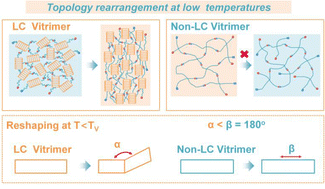 Graphical abstract: Fabricating liquid crystal vitrimer actuators far below the normal processing temperature