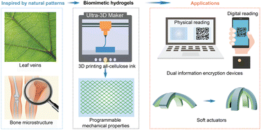 Graphical abstract: An information encrypted heterogeneous hydrogel with programmable mechanical properties enabled by 3D patterning
