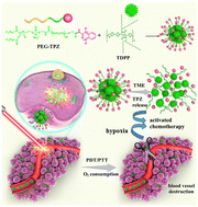 Graphical abstract: Tumor-microenvironment-responsive poly-prodrug encapsulated semiconducting polymer nanosystem for phototherapy-boosted chemotherapy