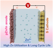Graphical abstract: Rational design of zinc powder anode with high utilization and long cycle life for advanced aqueous Zn–S batteries