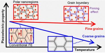 Graphical abstract: Enhanced thermal stability by short-range ordered ferroelectricity in K0.5Na0.5NbO3-based piezoelectric oxides