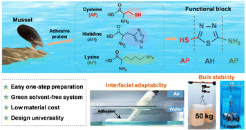 Graphical abstract: Achieving strong, stable, and durable underwater adhesives based on a simple and generic amino-acid-resembling design