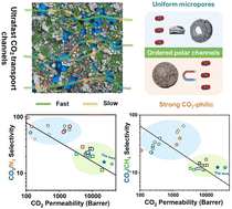 Graphical abstract: Heteroatom-doped noble carbon-tailored mixed matrix membranes with ultrapermeability for efficient CO2 separation