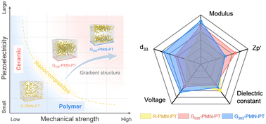 Graphical abstract: Modulating piezoelectricity and mechanical strength via three-dimensional gradient structure for piezoelectric composites