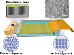 Graphical abstract: Scalable microfluidic fabrication of vertically aligned two-dimensional nanosheets for superior thermal management