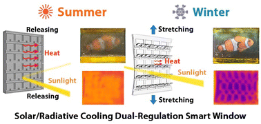 Graphical abstract: A solar/radiative cooling dual-regulation smart window based on shape-morphing kirigami structures